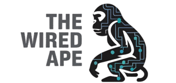 untitled design (14)